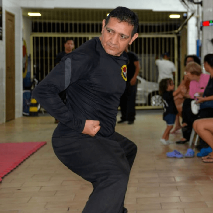 master_alcino_lourenço_gallery_01