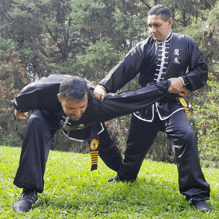 master_alcino_lourenço_gallery_11