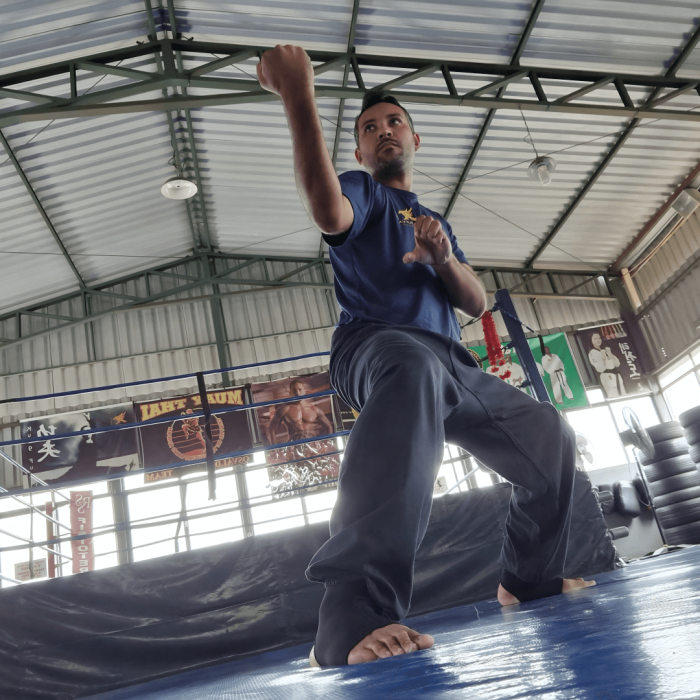 master_hercules_rodrigues_gallery_04