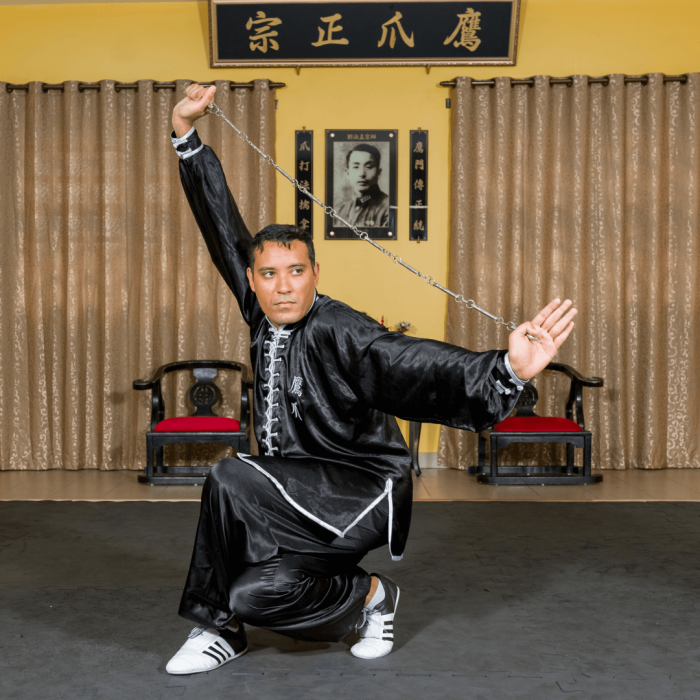 master_hercules_rodrigues_gallery_05