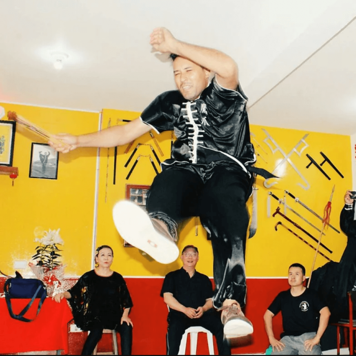 master_hercules_rodrigues_gallery_08