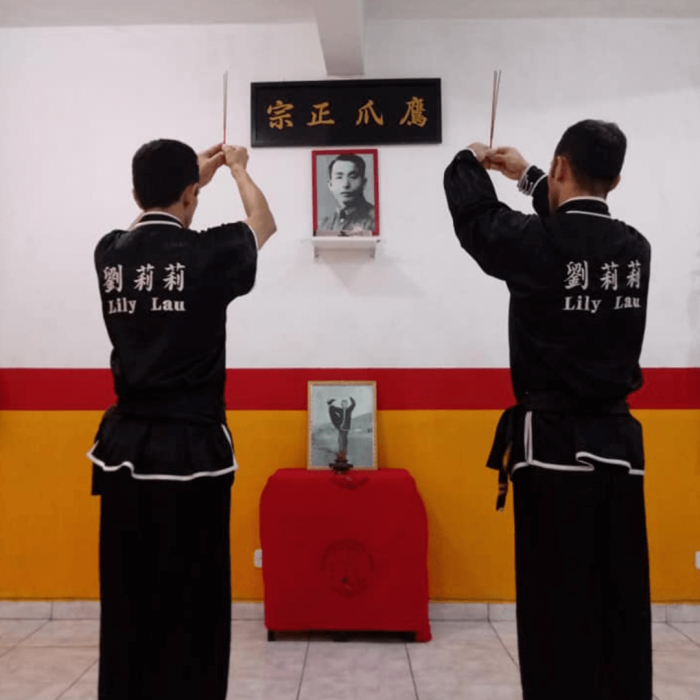 school_kung_fu_eagle_claw_brasil_02