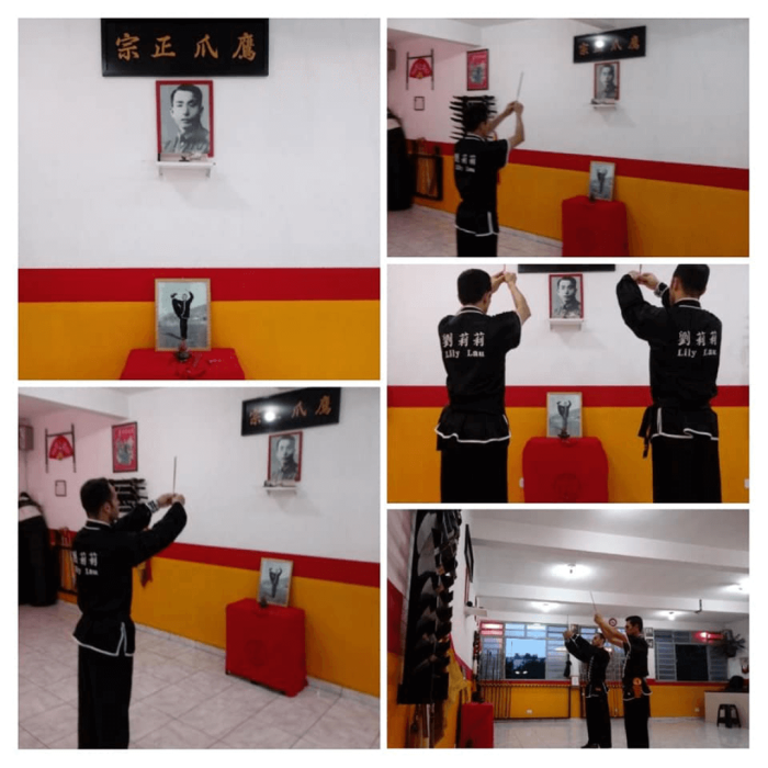 school_kung_fu_eagle_claw_brasil_04