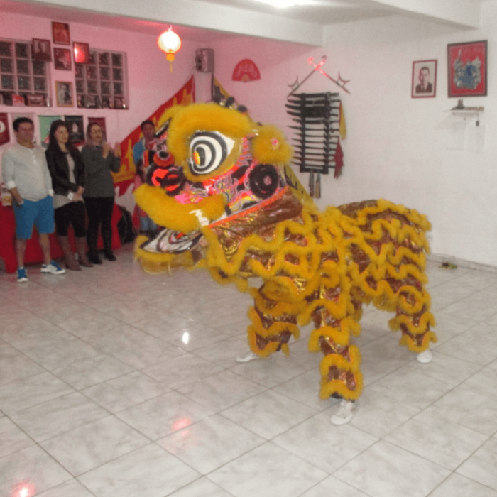 school_kung_fu_eagle_claw_brasil_07