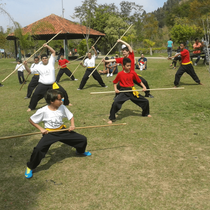 school_kung_fu_eagle_claw_brasil_08